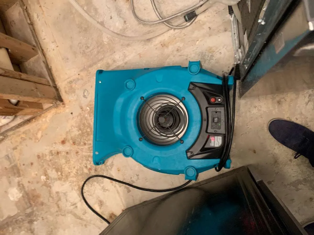 Air mover drying equipment for Mold Remediation & Removal in Cedar Grove