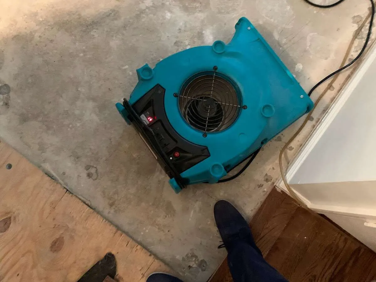 Air mover drying subfloor during Leak Detection & Repair in Cedar Grove